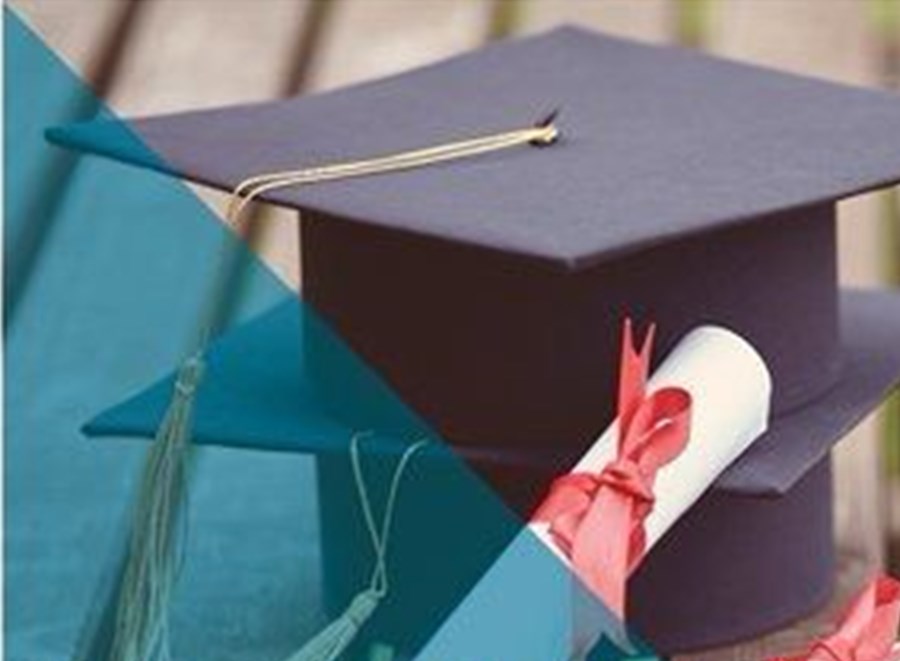 الرحلات التعليمية