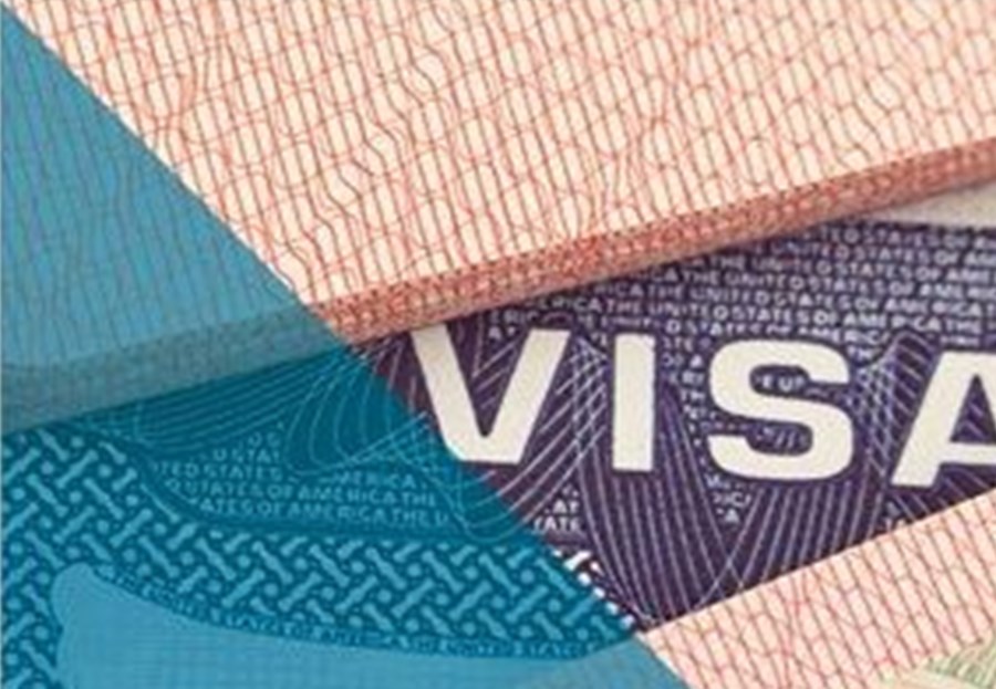 إصدار التأشيرات